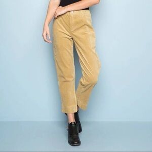 Brandy Melville Tan Corduroy Pants